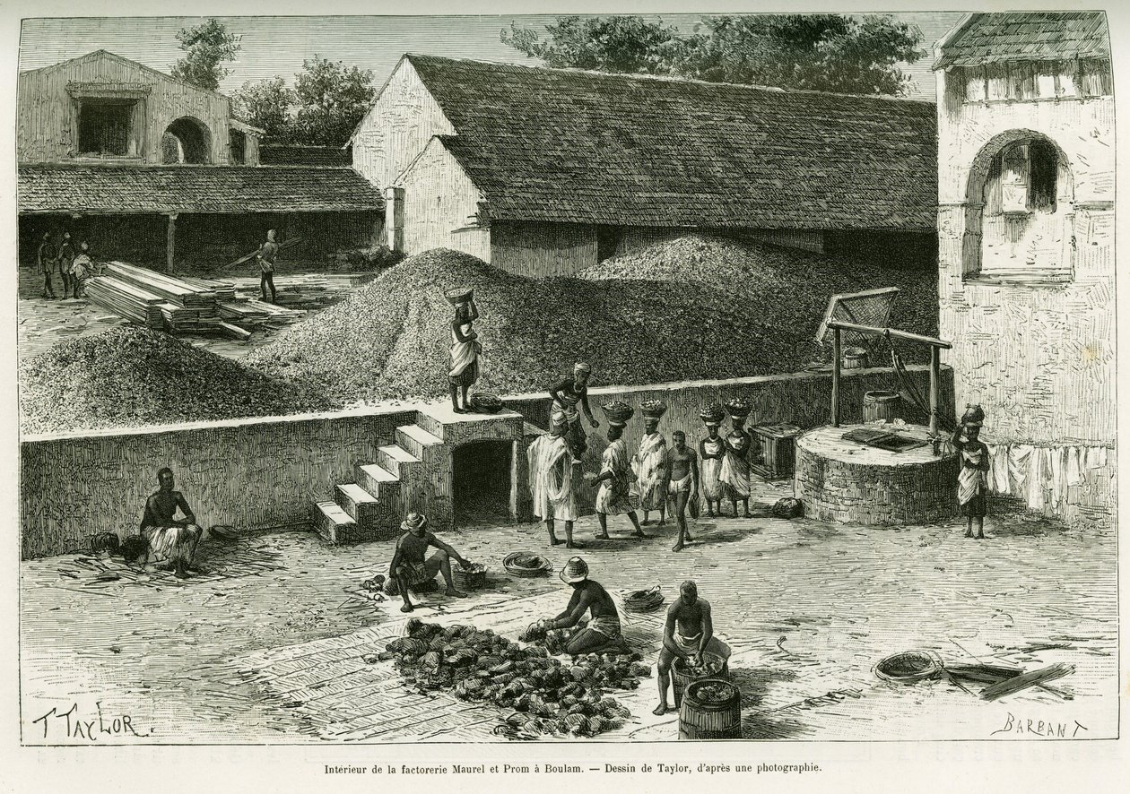 A Maurel és Prom gyárban, Boulamban földimogyorót, pálmamandulát és gumit válogatnak össze és dolgoznak fel. Taylor metszet, fénykép után, A. Brosselard kapitány 1888-as Voyage dans la Senegambie et la Guinee portuguese történetének illusztrálására, alkotó: T Taylor