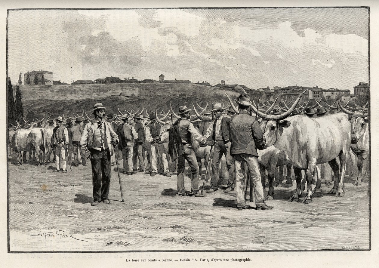 A marhahúsvásár Sienában (Olaszország). Taylor metszete Eugene Muntz (1845-1902) „A travers la Toscane” című történetének illusztrálására, a Le tour du Monde 1892-ben, rendezte Edouard Charton (1807-1891), Hachette, Párizs. alkotó: T Taylor
