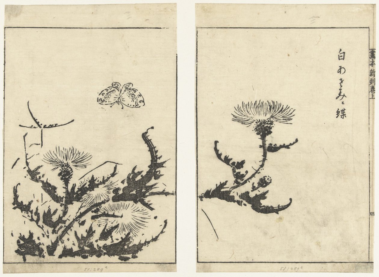ji s kéz ls kert vin de r Ez a végső nyilatkozat (sorozat földje) alkotó: Tachibana Morikuni (attributed to)