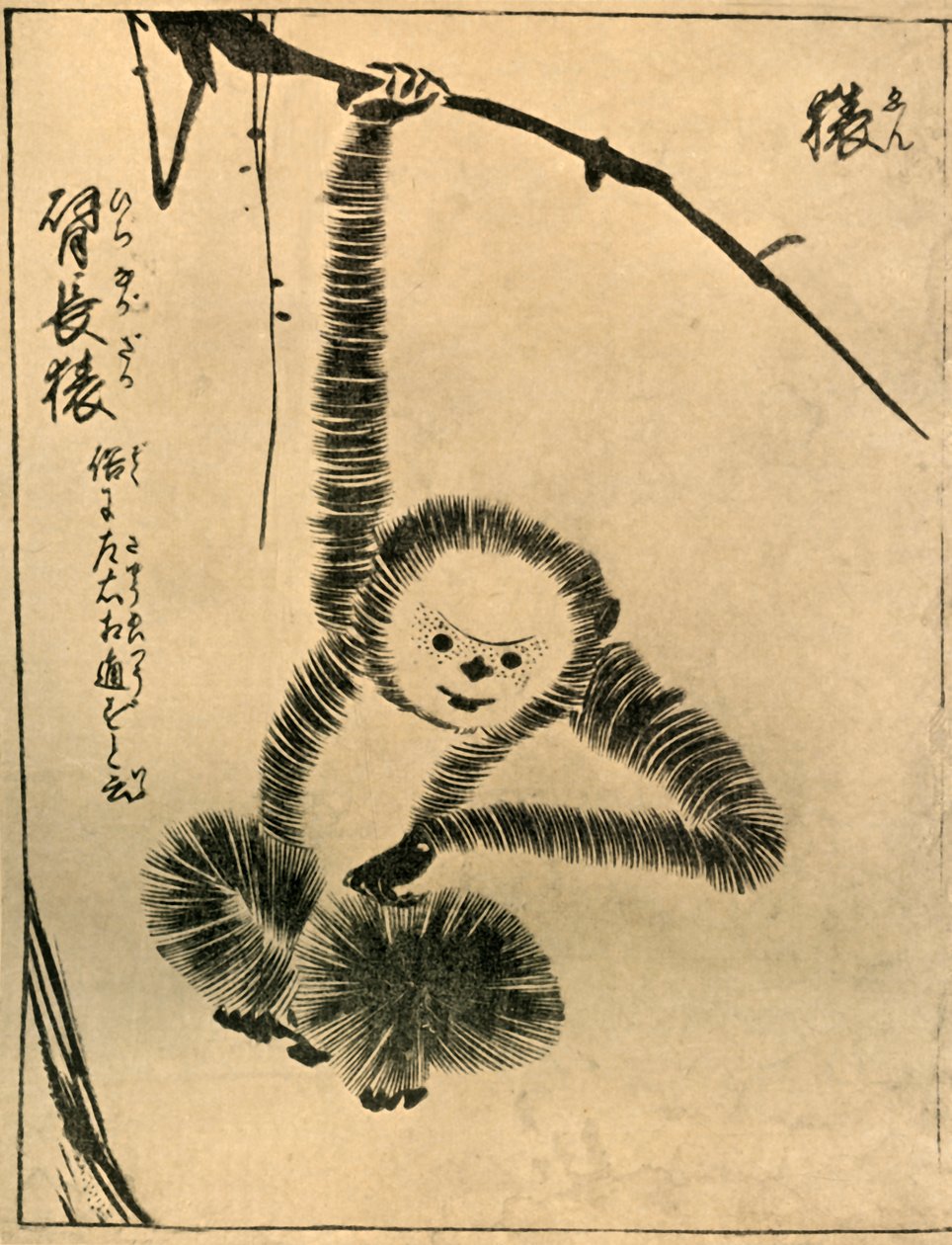 Majom, 1720, 1924. alkotó: Tachibana Morikuni