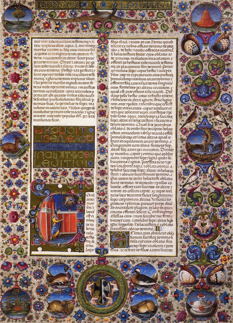 Leviticus könyve, a Borso d