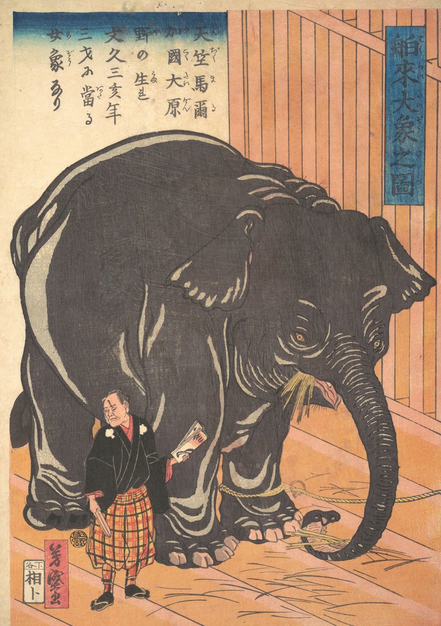 Kilátás a nagy importált elefántról, 1863 Bunkyo 3, 4. hónap. alkotó: Taguchi Yoshimori