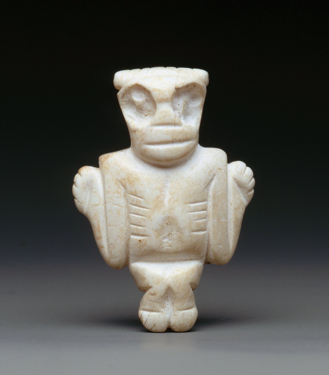 Amulett (kagyló) alkotó: Taino Culture