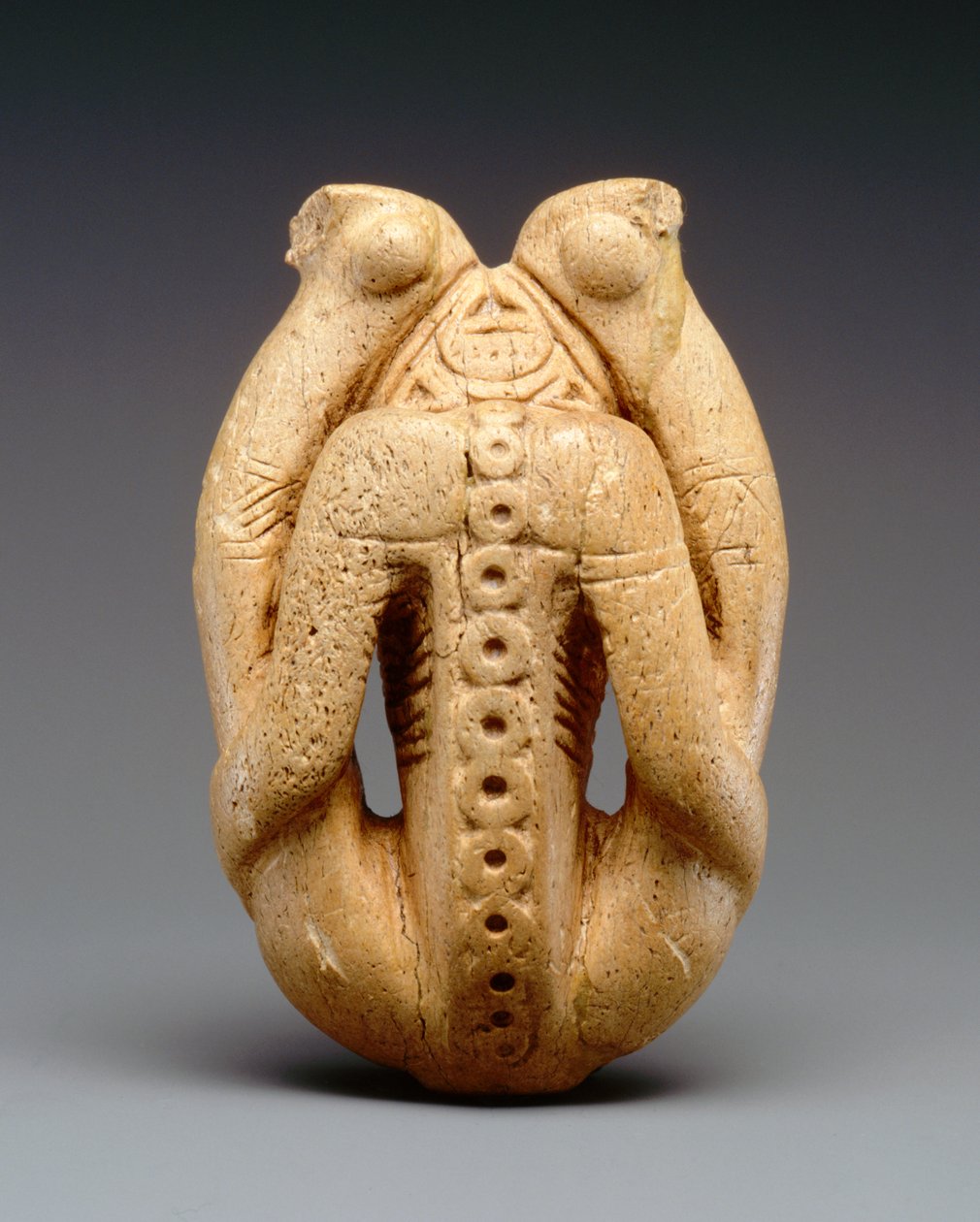 Cohiba inhalátor (manatee csont) alkotó: Taino Culture