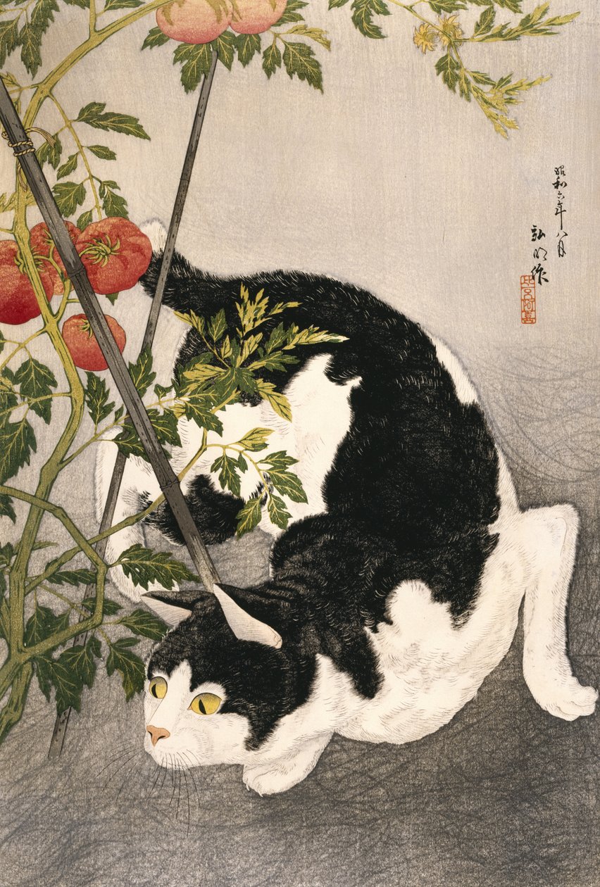 Macska kósza egy karózott paradicsomnövény körül, 1931 (fatömbnyomat) alkotó: Takahashi Hiroaki