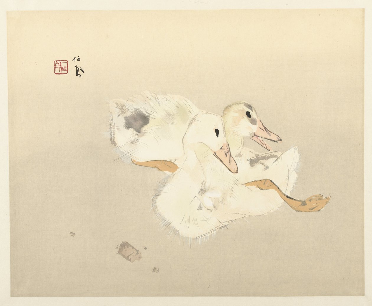 fiatal kacsák alkotó: Takeuchi Seiho
