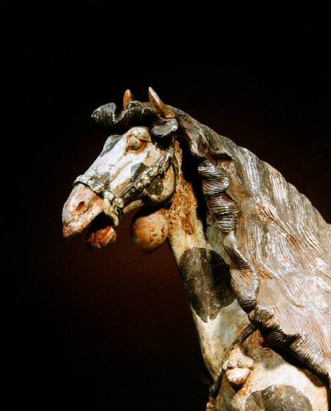 Részlet egy lóról, 7. század vége - 8. század eleje (pigmentnyomokkal és aranyozott cserépedény) alkotó: Tang Dynasty Chinese School