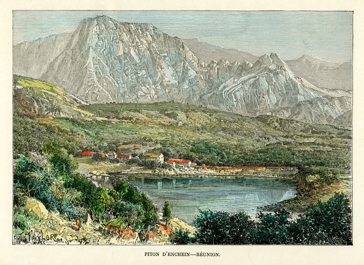 Piton d Enchein, Réunion, 1880. alkotó: Taylor