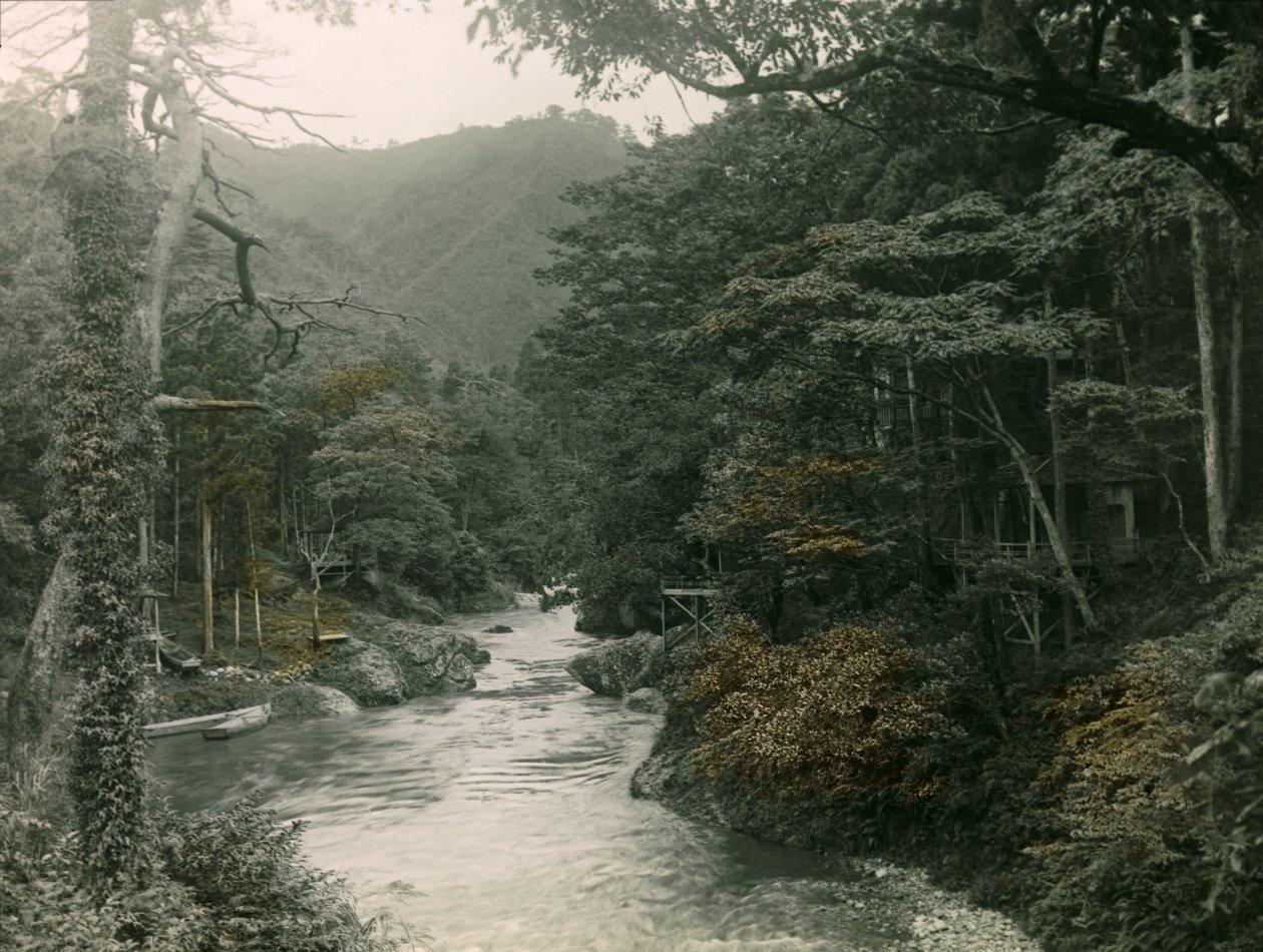 Őszi erdő a Yamanaka régióban, 1900-1915 körül (fénykép) alkotó: Teijiro Takagi