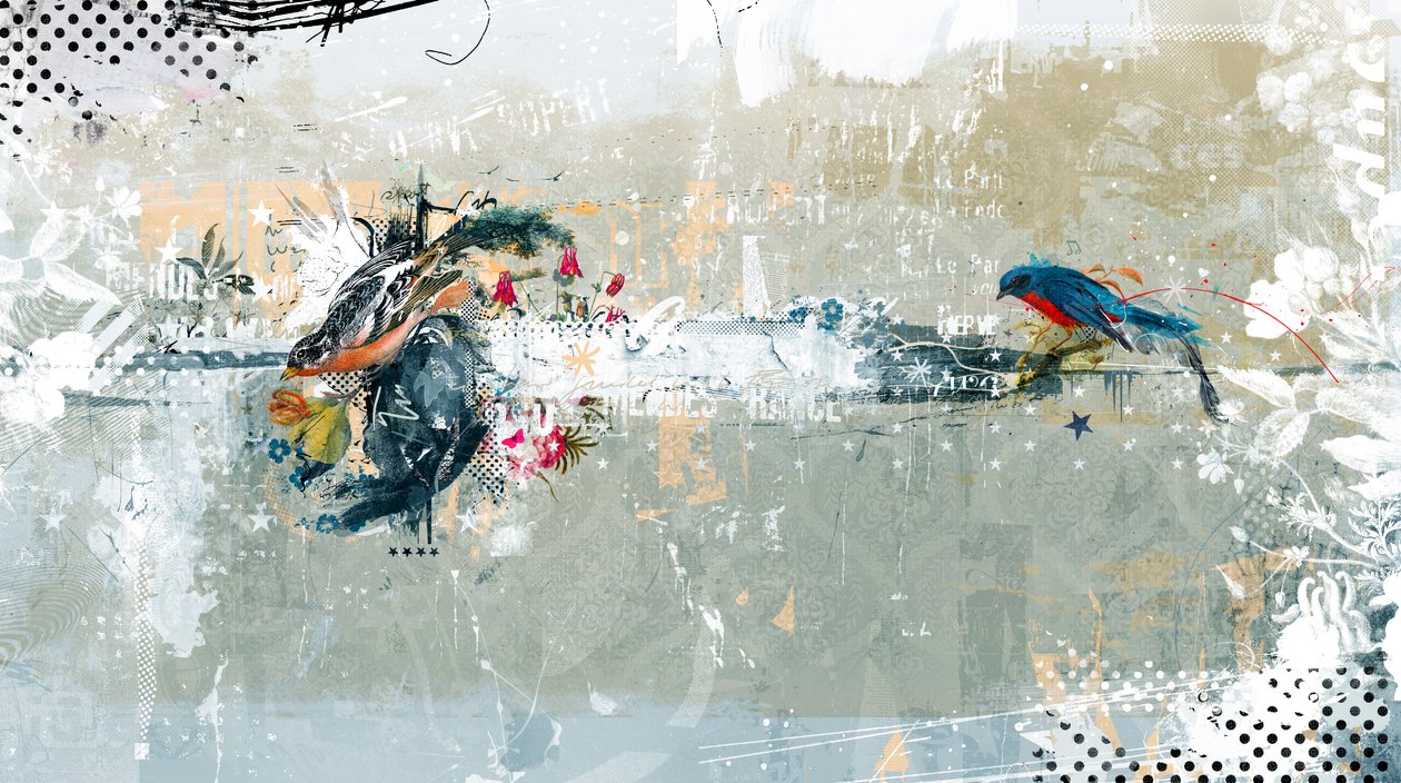 Birdalicious, 2014 (kollázs, vászon) alkotó: Teis Albers