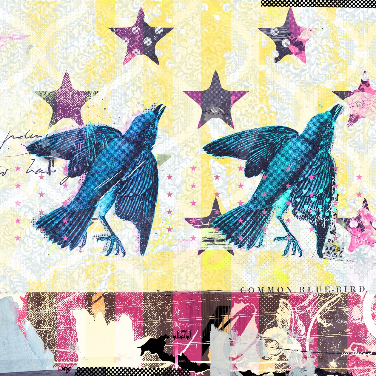 Birds in Serie, 2015 (kollázs, vászon) alkotó: Teis Albers