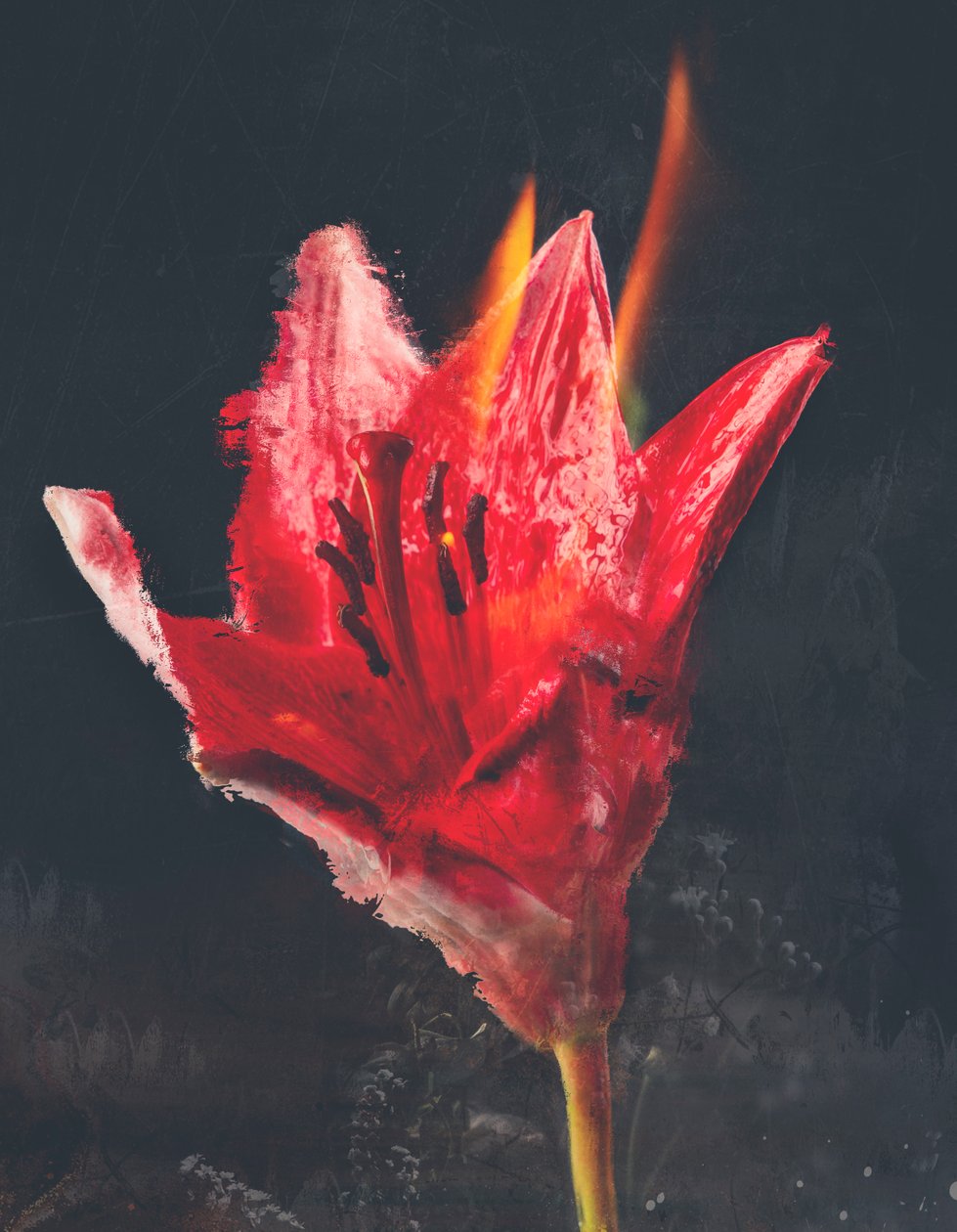 Combust, 2019 (vegyes technika, vászon) alkotó: Teis Albers