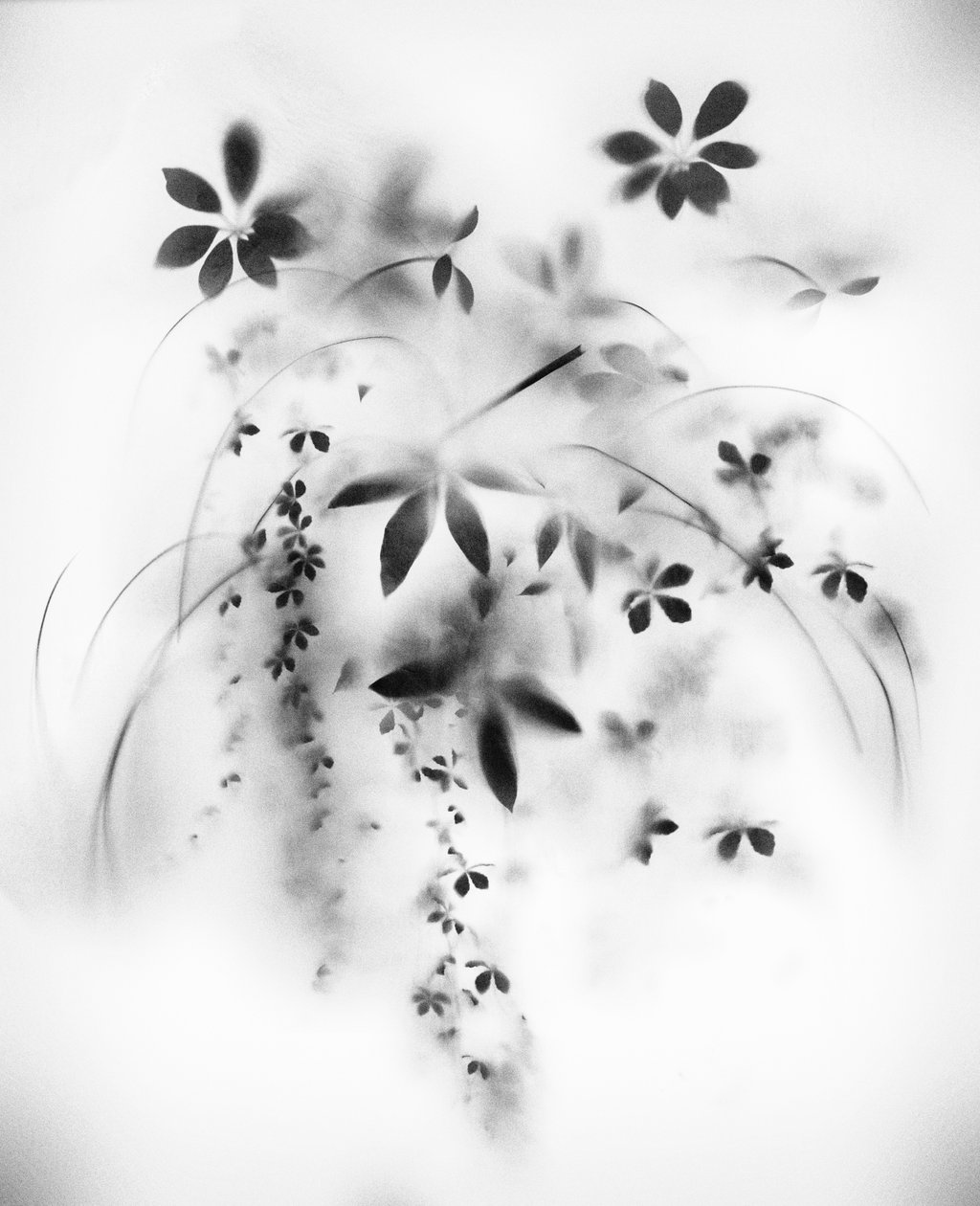 Natural Veil, 2018 (vegyes technika, vászon) alkotó: Teis Albers