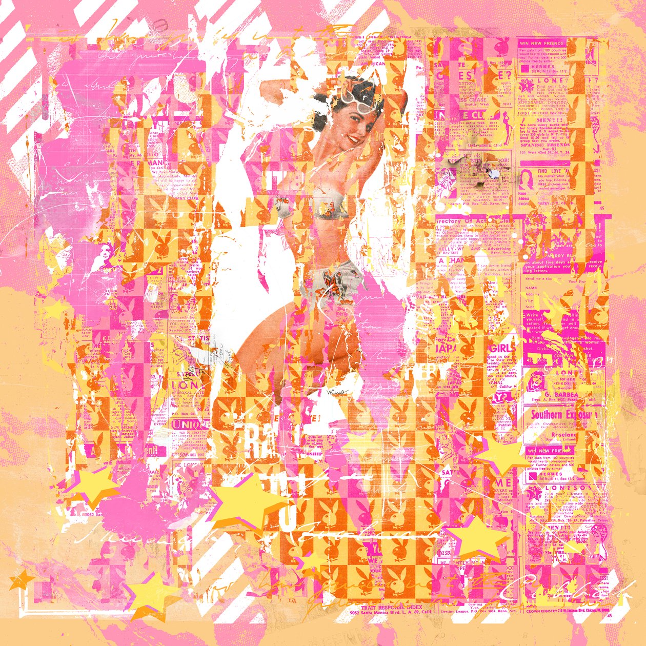 Pinup2, 2014 (vegyes technika, vászon) alkotó: Teis Albers