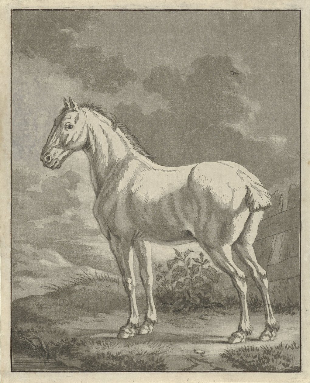 Penész a réten alkotó: Tethart Philip Christian Haag