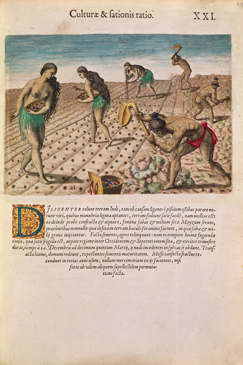 Kukoricát ültető floridai indiánok a „Brevis Narratio...”-ból, Theodore de Bry, 1591 (lásd még: 111671) alkotó: after Le Moyne, J.Bry