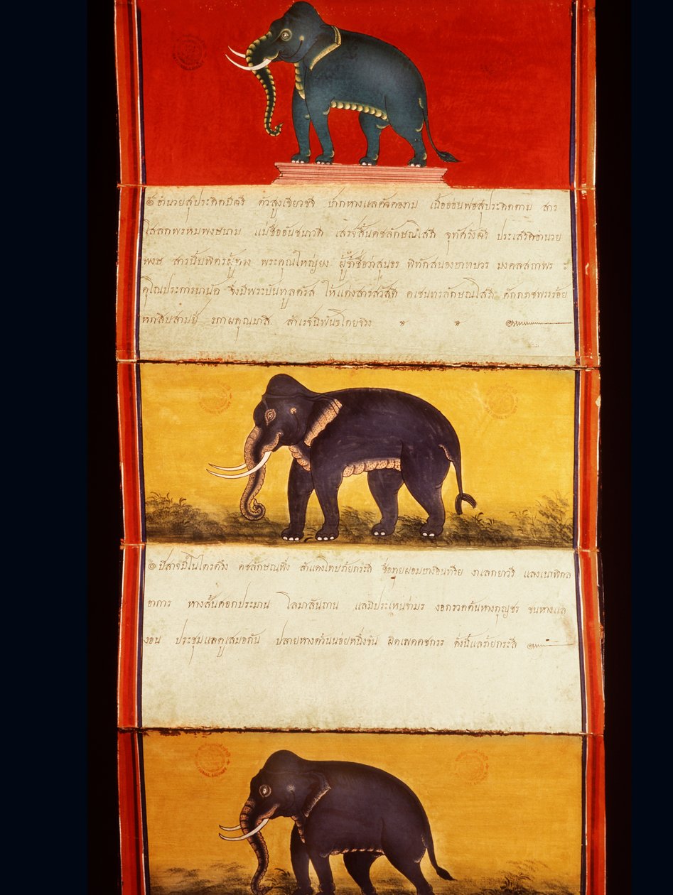 Fólió egy elefántképzésről szóló kéziratból (toll és tinta, valamint wc papíron) alkotó: Thai School