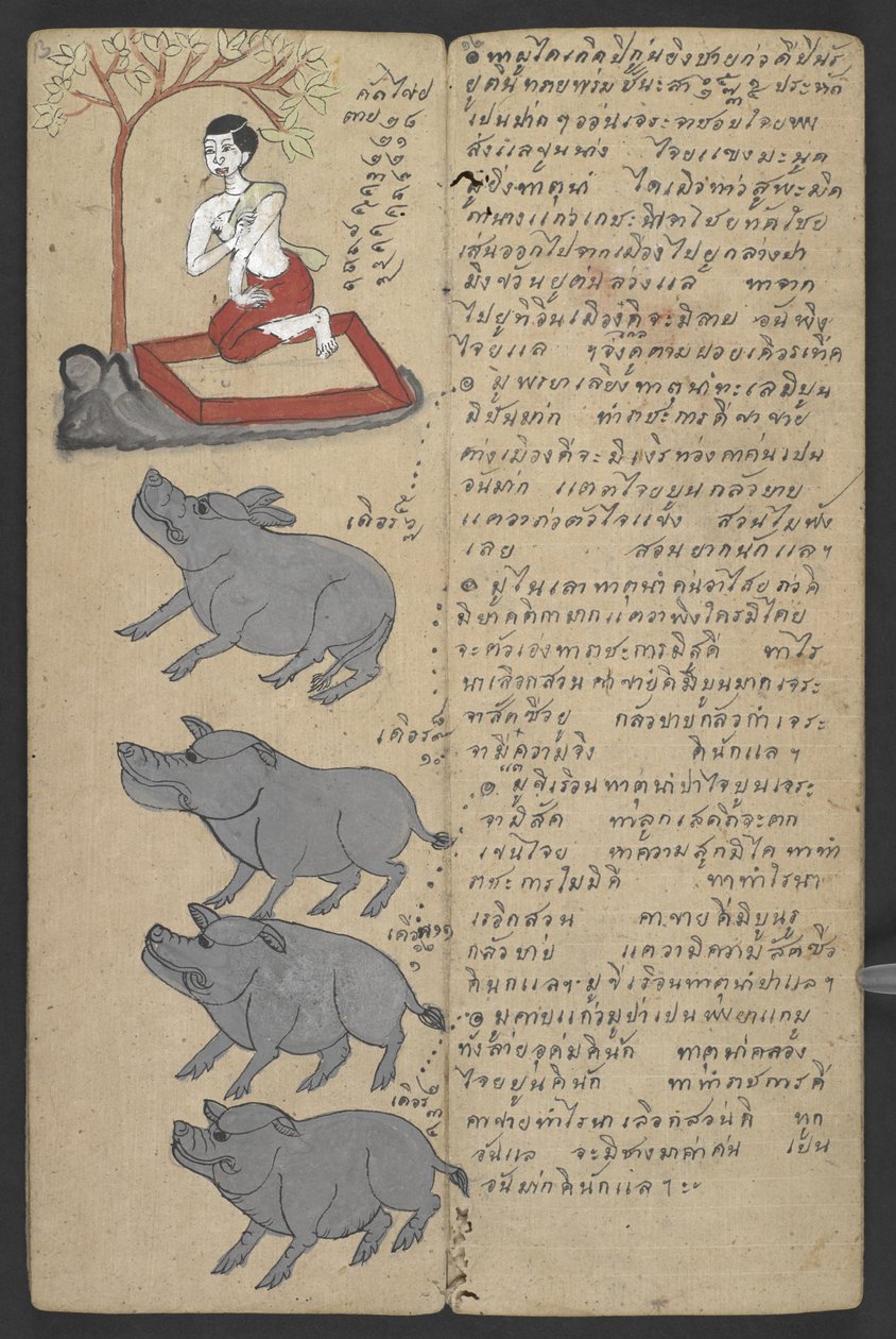 Vagy 16455 f.13r, Állatok a zodiákusból, Phrommachatból (pergamen) alkotó: Thai School