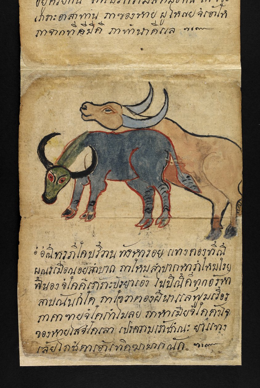Vagy. 16482, f.15 „Satra”  Jóslásról és tanácsokról a boldog és egészséges élethez (hajtogatós könyv) alkotó: Thai School