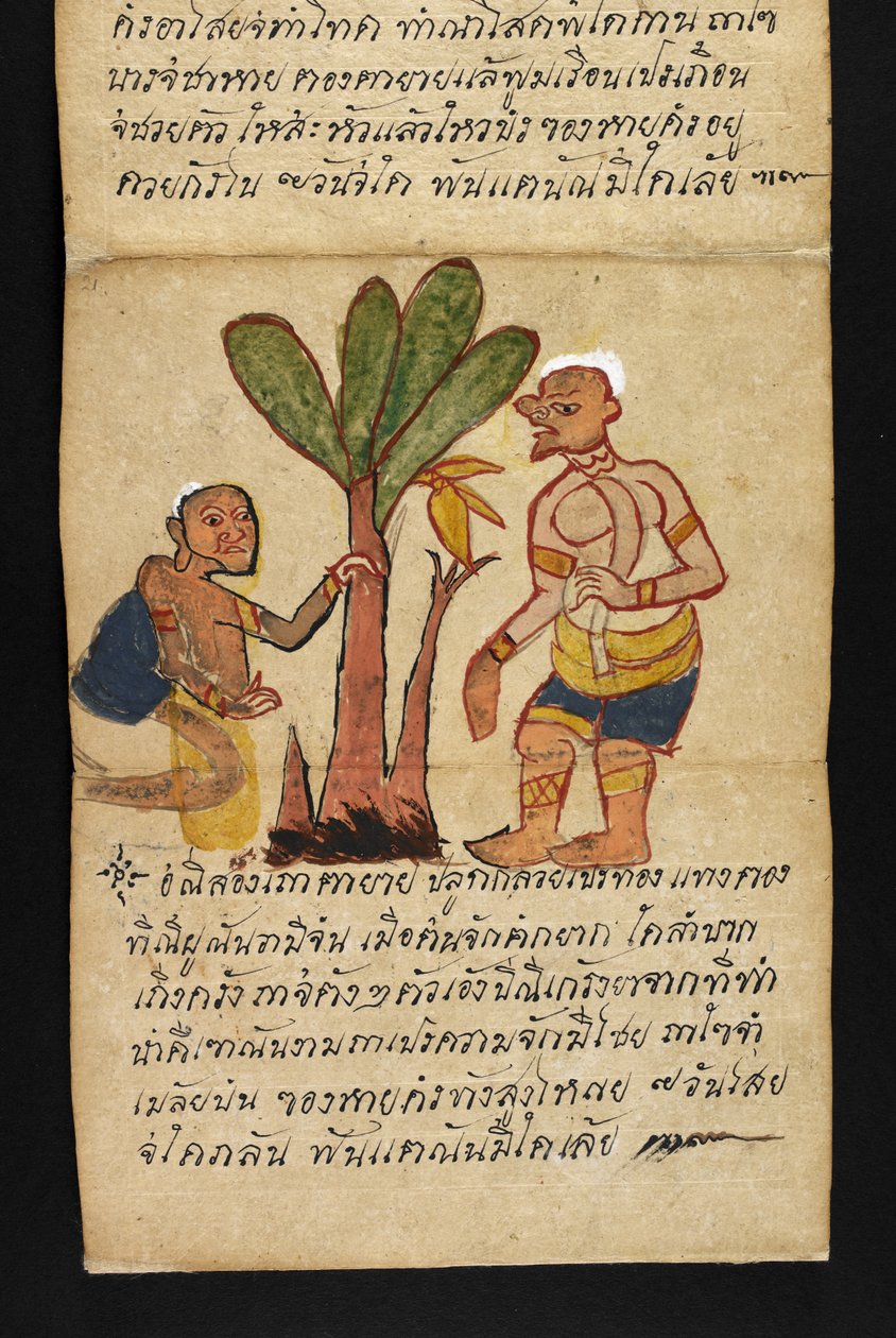 Vagy. 16482, f.21 „Satra”  Jóslásról és tanácsokról a boldog és egészséges élethez (hajtogatós könyv) alkotó: Thai School