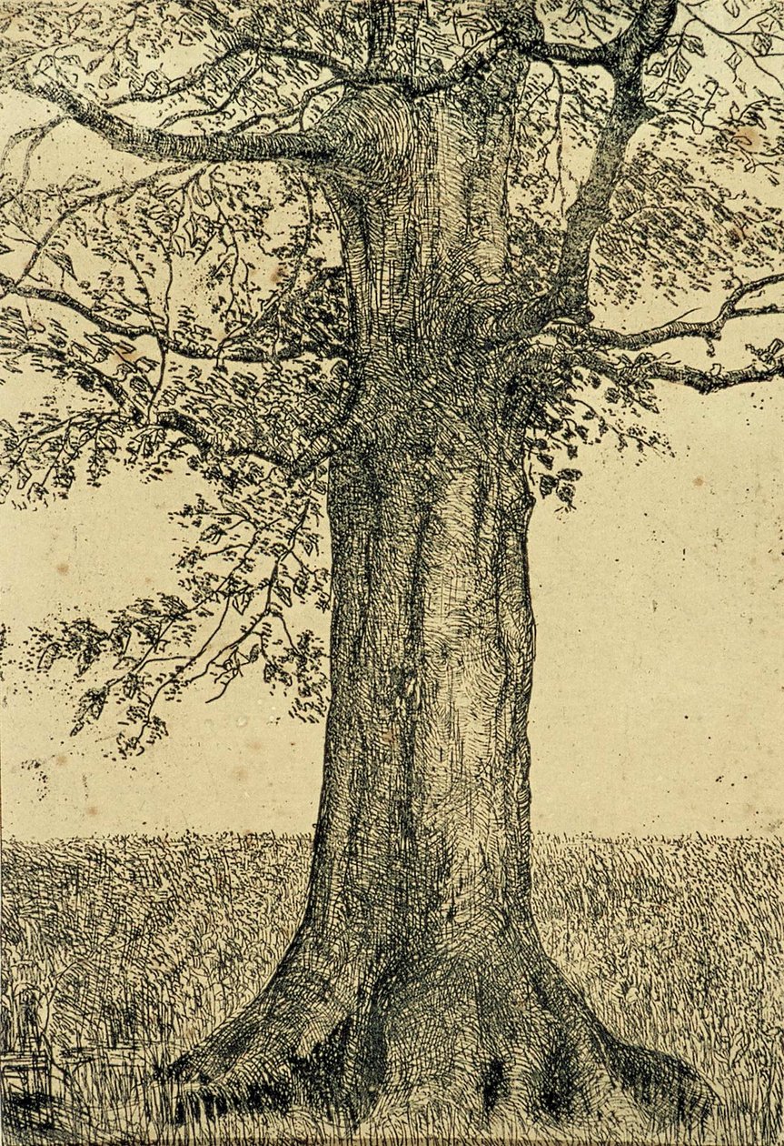 Fa alkotó: Theo van Doesburg