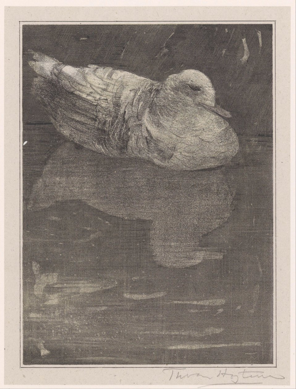 úszó kacsa alkotó: Theo van Hoytema (signed by artist)