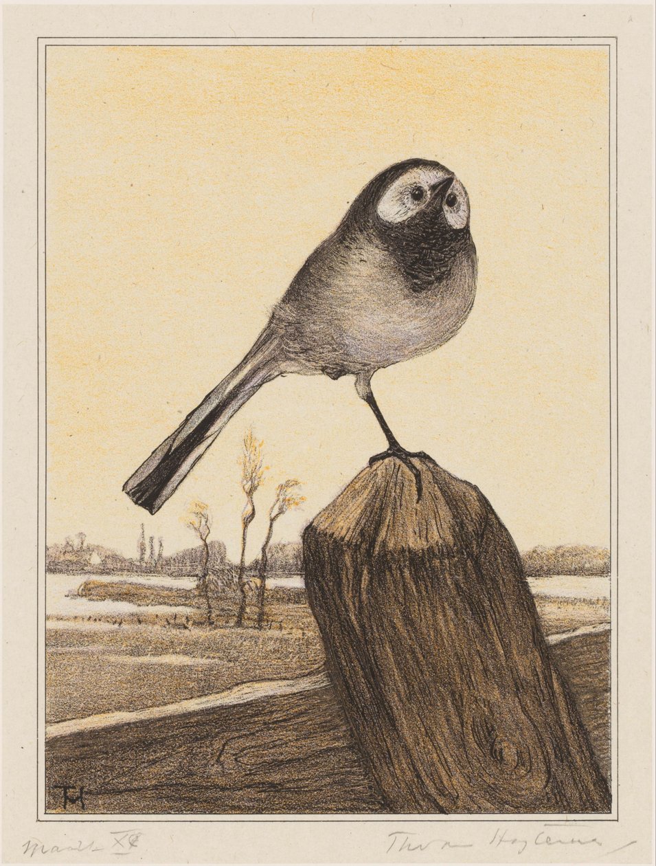 Wagtail a rúdon alkotó: Theo van Hoytema (signed by artist)