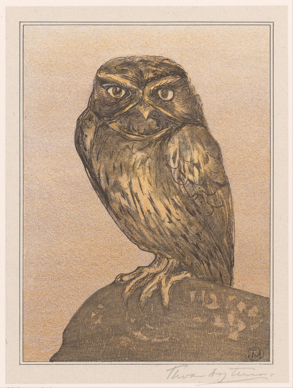 Kis bagoly a sziklán alkotó: Theo van Hoytema (signed by artist)