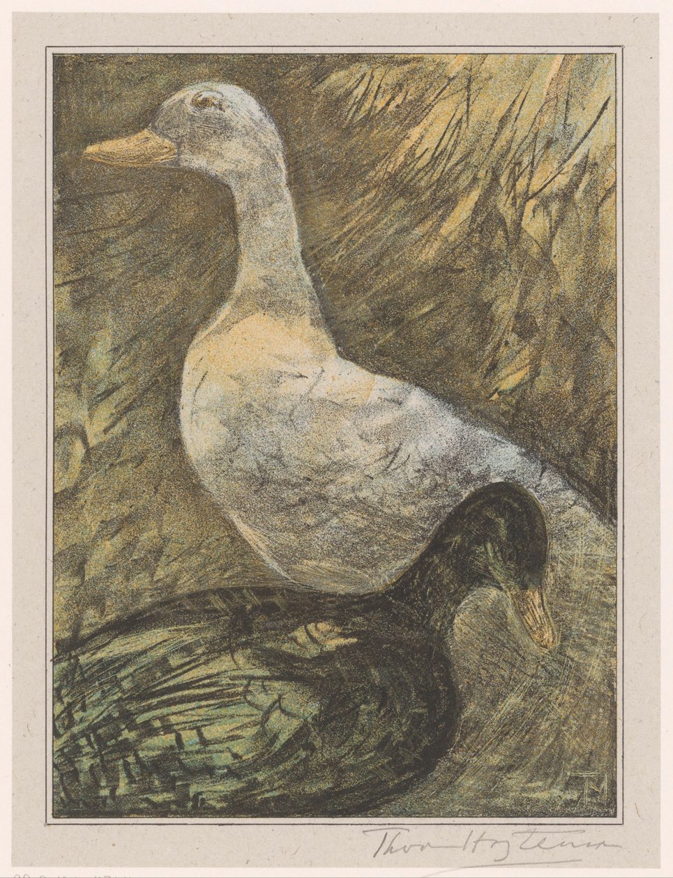 Két álló kacsa alkotó: Theo van Hoytema (signed by artist)