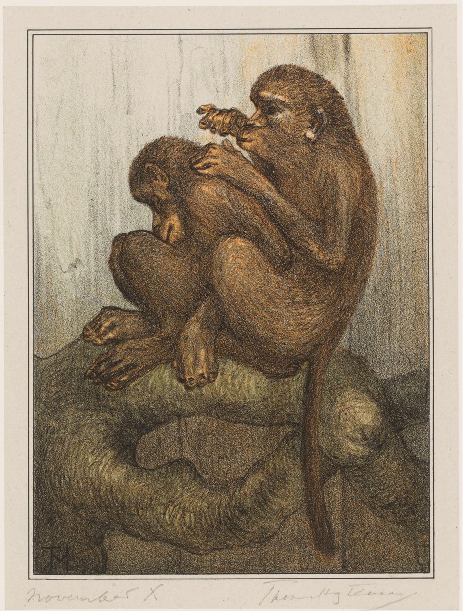 bolhamajmok alkotó: Theo van Hoytema (signed by artist)