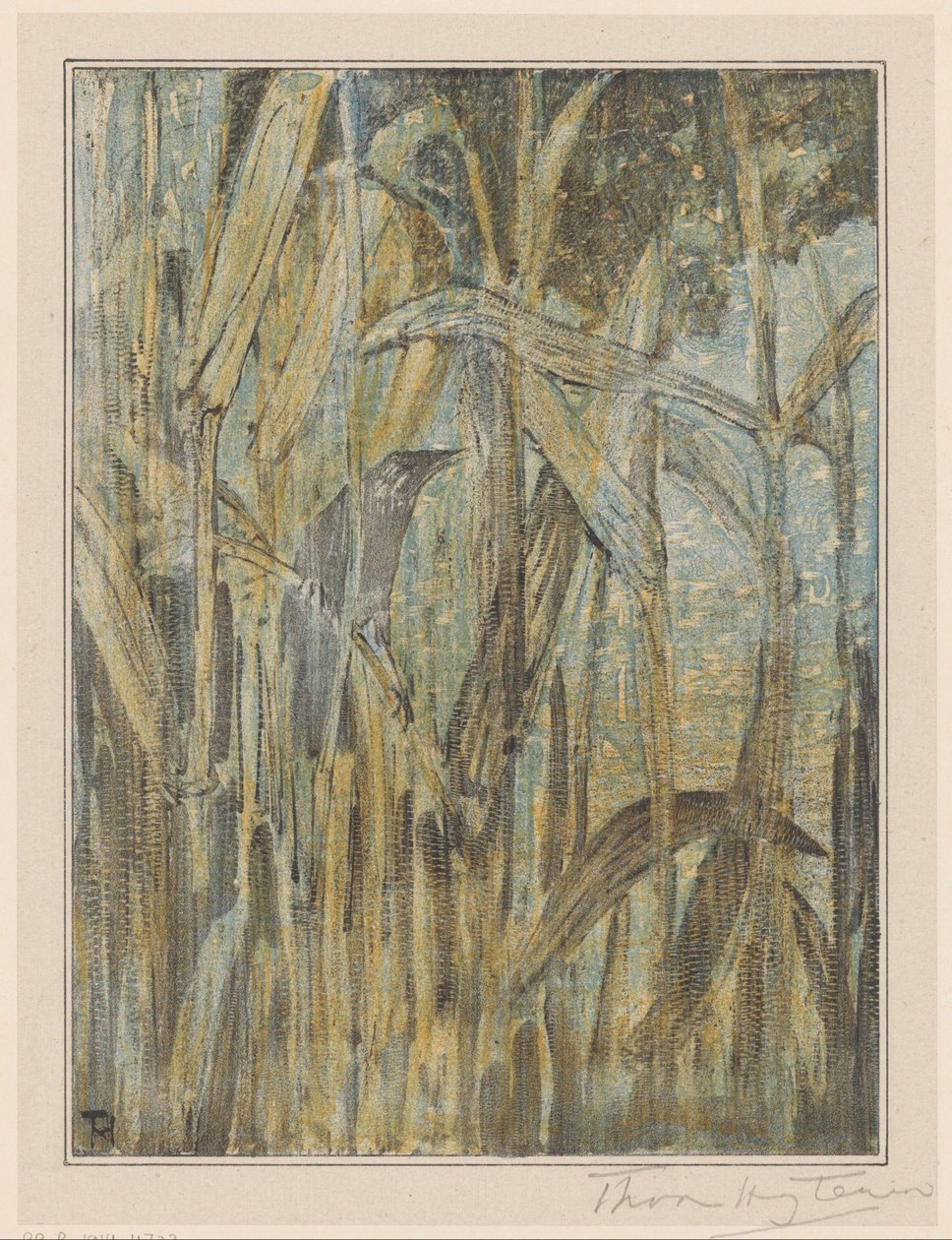 Madár a nádasban alkotó: Theo van Hoytema (signed by artist)