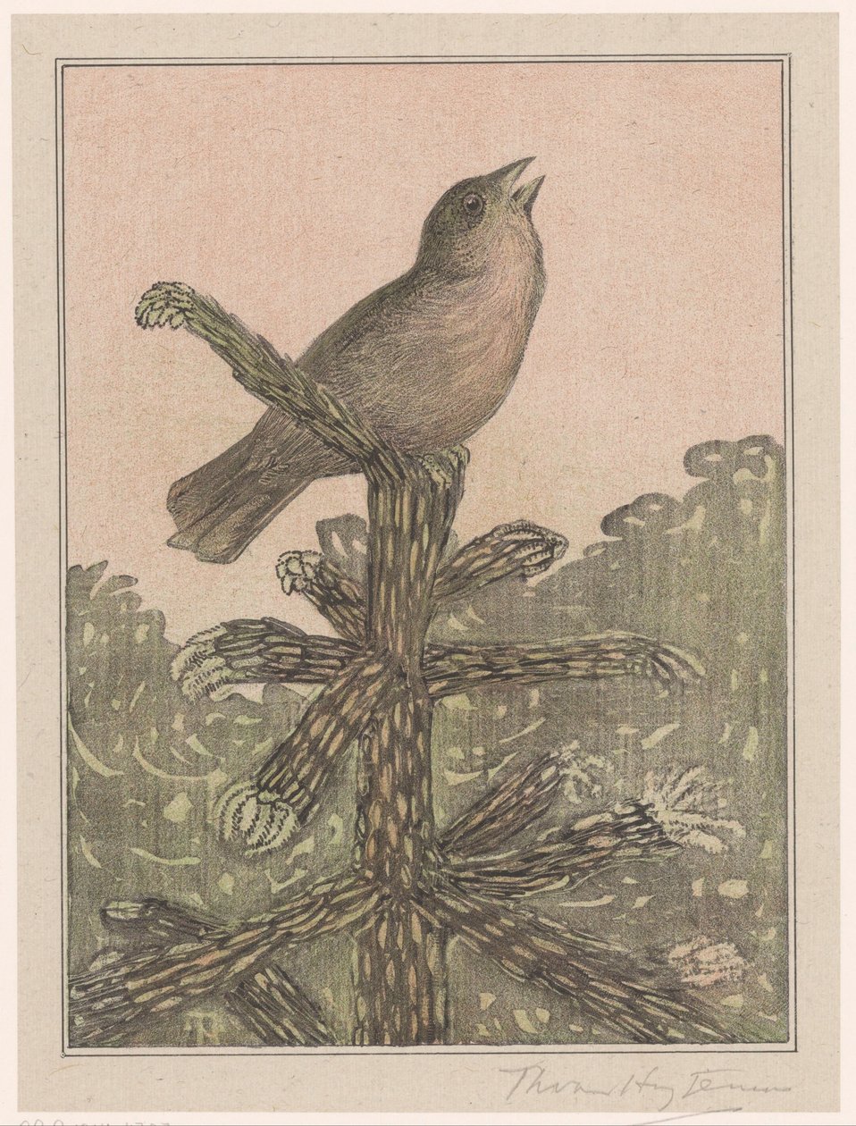 Éneklő madár a fenyőfán alkotó: Theo van Hoytema (signed by artist)