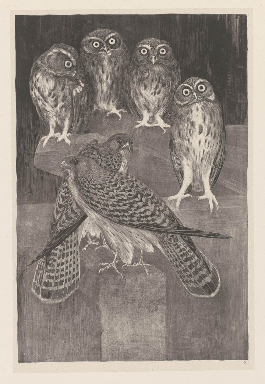 Négy kis bagoly és két vérke Animal Studies (eredeti sorozatcím) alkotó: Theo van Hoytema