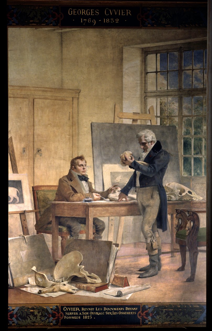 Őslénytan: "" Georges Cuvier báró (1769-1832) újra egyesíti a fosszilis csontokkal kapcsolatos munkájának dokumentumait"" Theobal Chartran (1849-1907) freskója. Párizsi Sorbonne Egyetem alkotó: Theobald Chartran