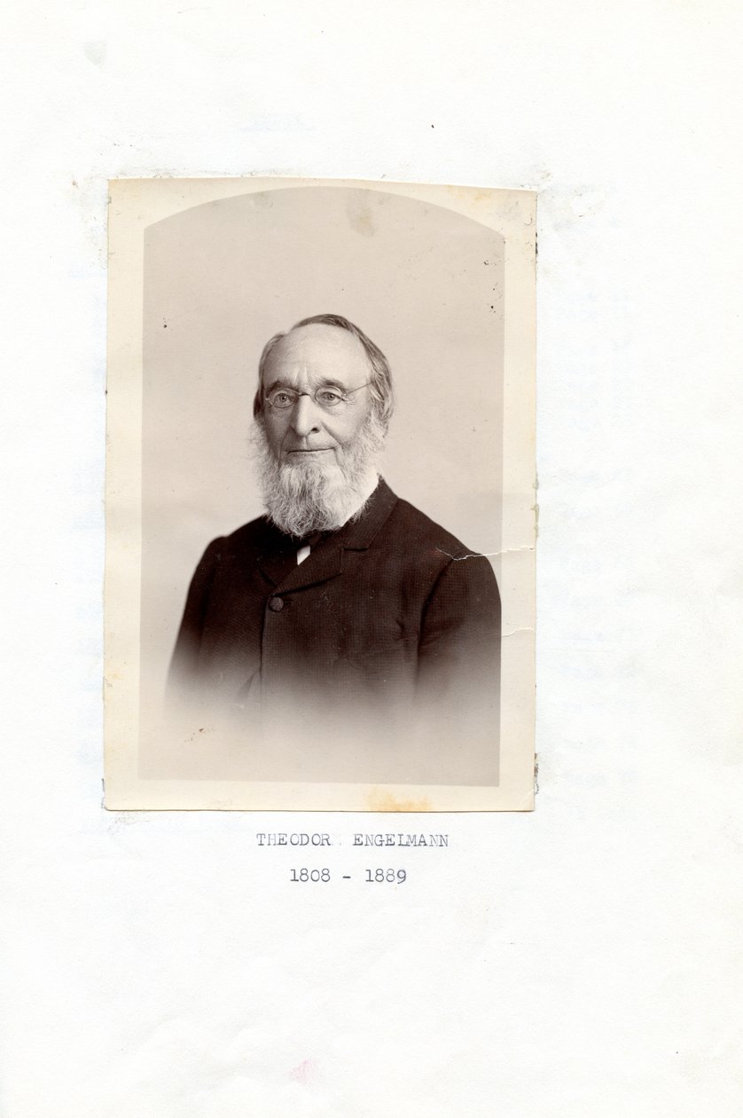 Theodore Engelmann Emlékezések alkotó: Theodor Engelmann