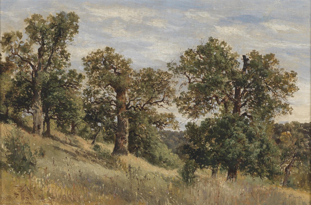 Hegyi lejtő fával alkotó: Theodor von Hormann