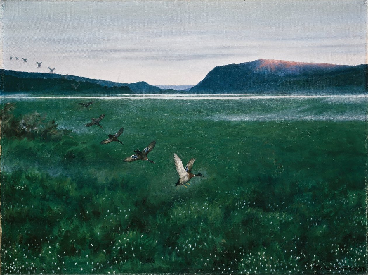 A tizenkét vadkacsa alkotó: Theodor Kittelsen