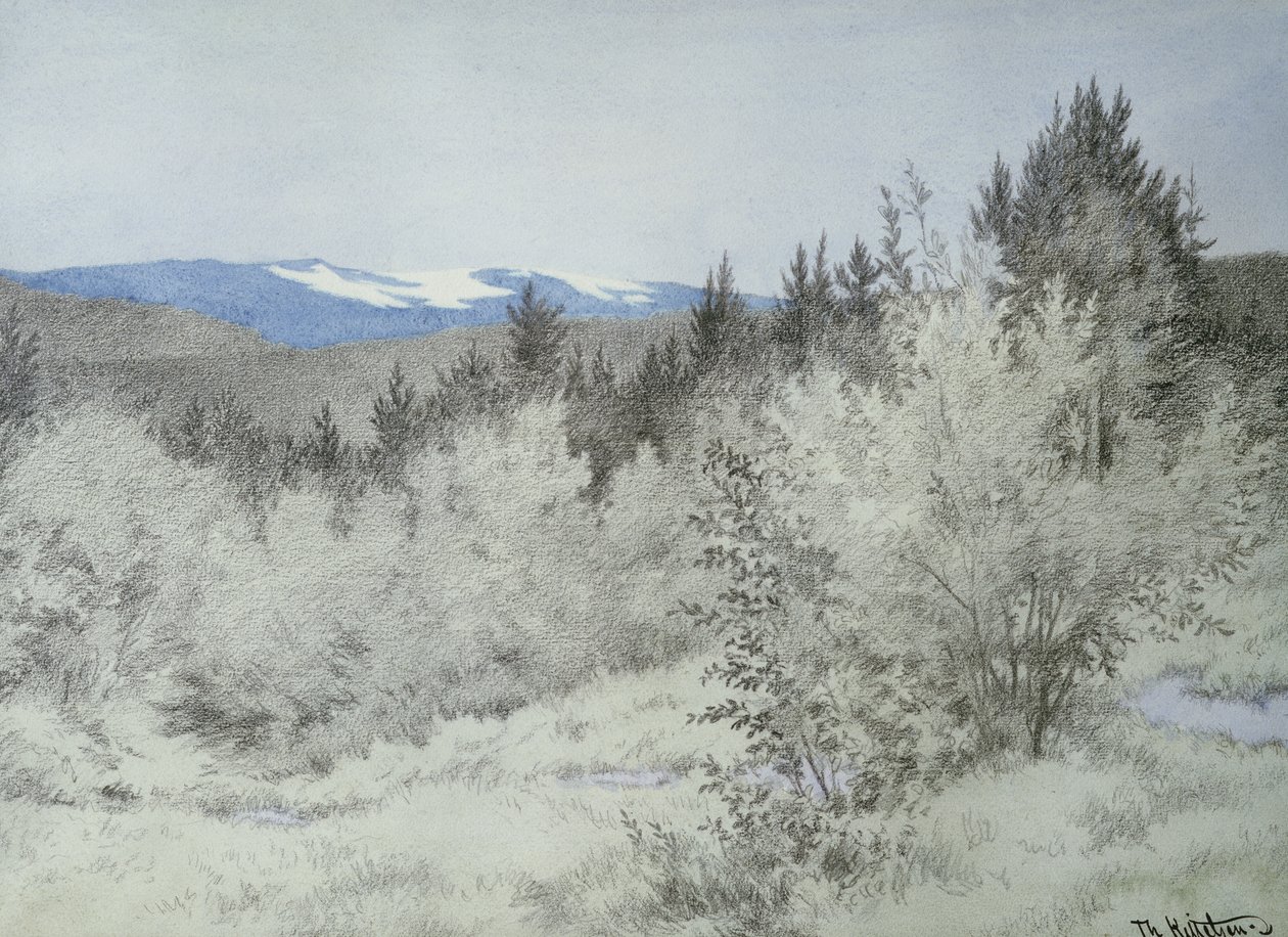 Messze az erdőben alkotó: Theodor Kittelsen