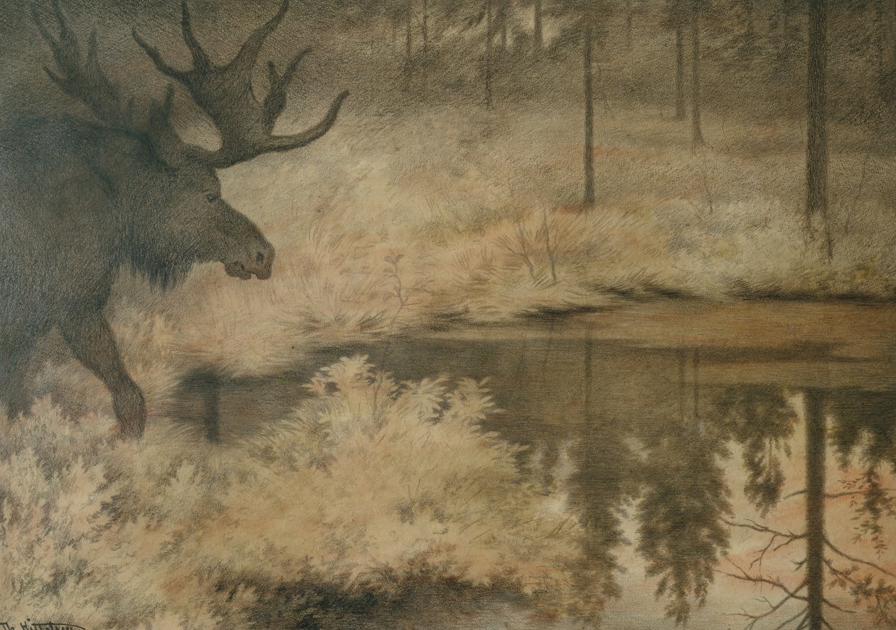 Jön a jávorszarvas, hogy oltja a szomját alkotó: Theodor Kittelsen