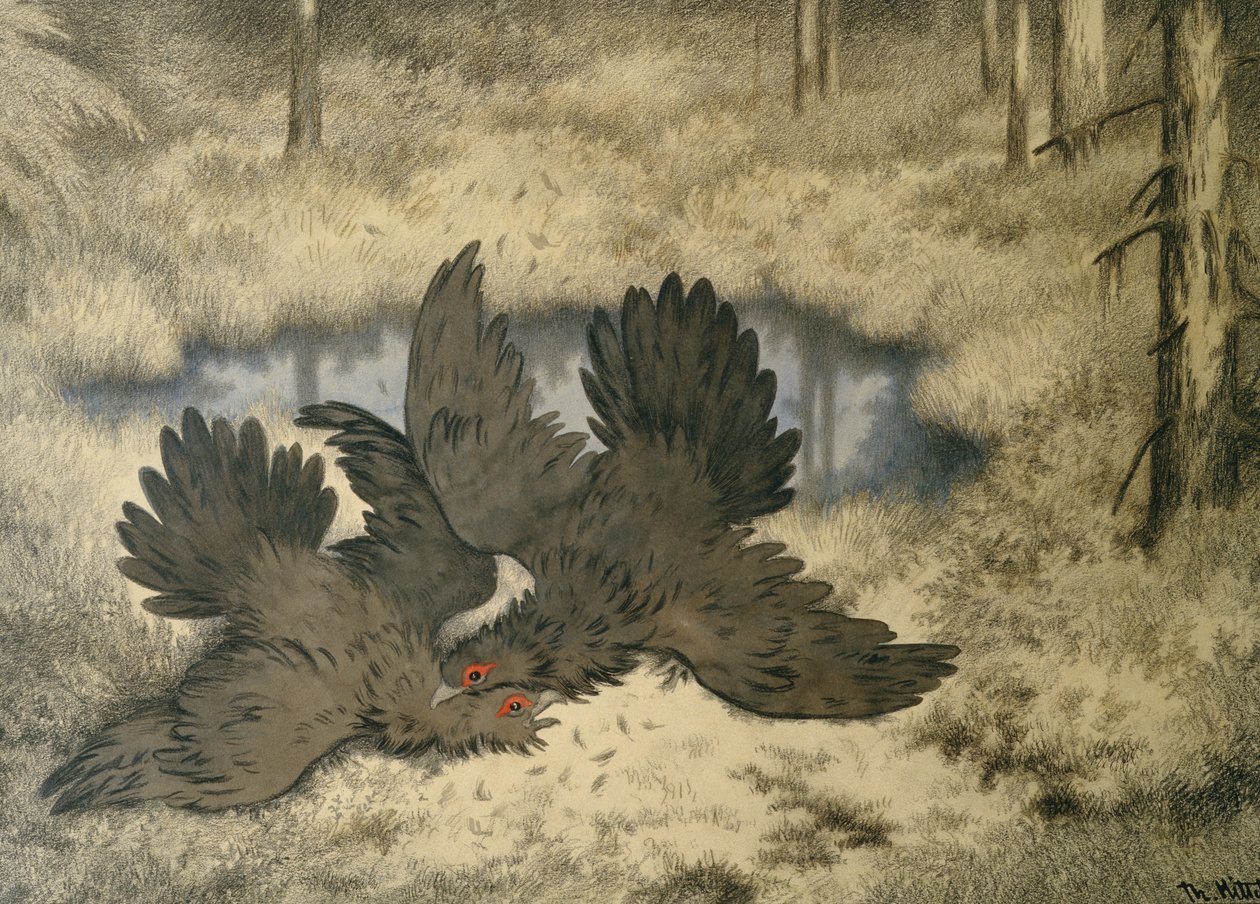 A trollmadár harc odabent alkotó: Theodor Kittelsen