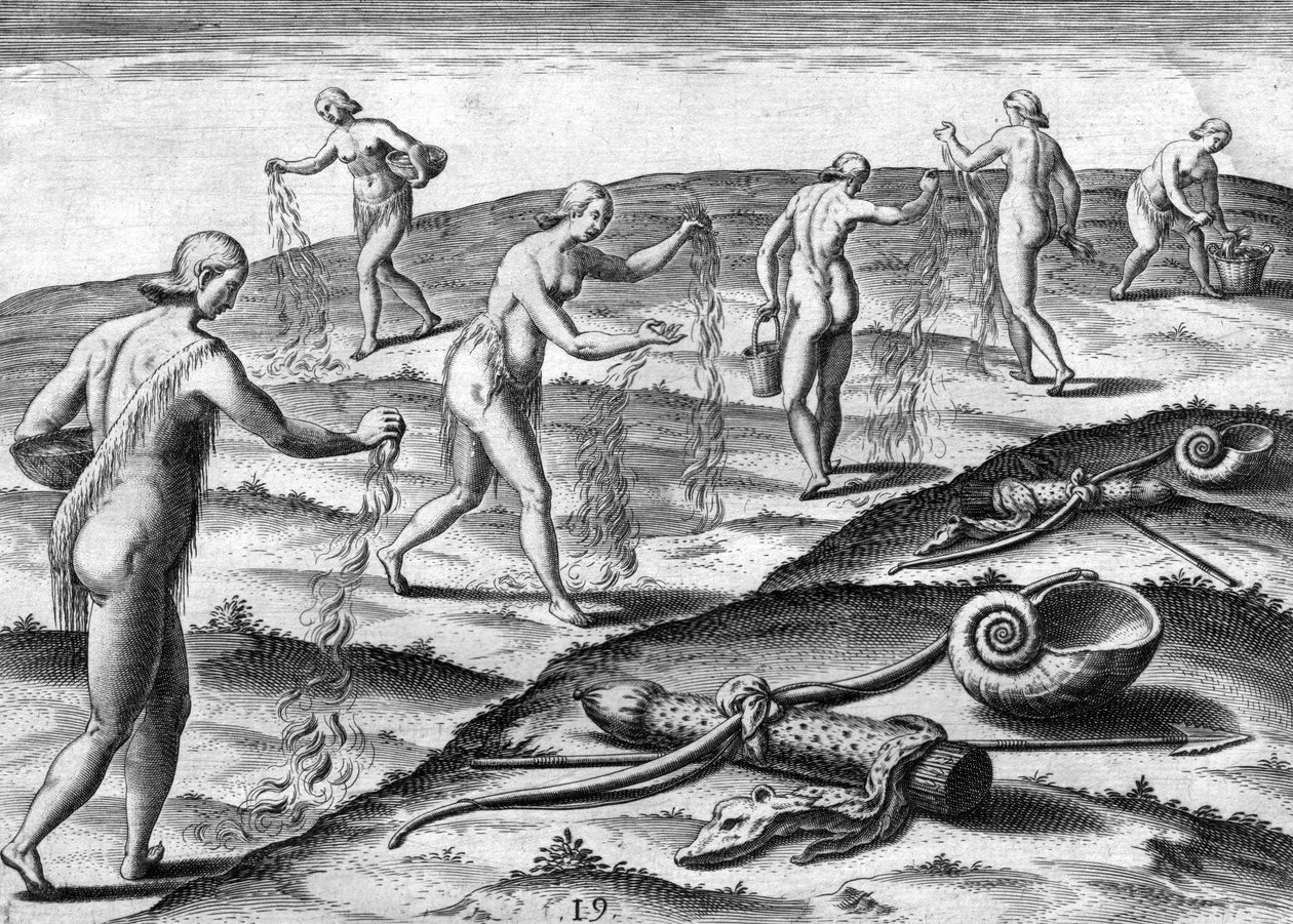 A Potano törzs asszonyainak szertartása alkotó: Theodor de Bry