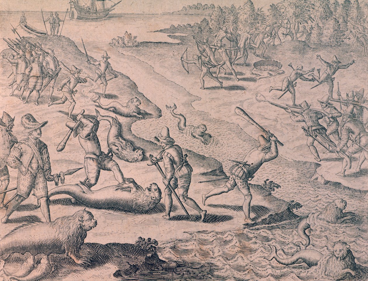 Oroszlánfókák lemészárlása felfedezők által alkotó: Theodor de Bry