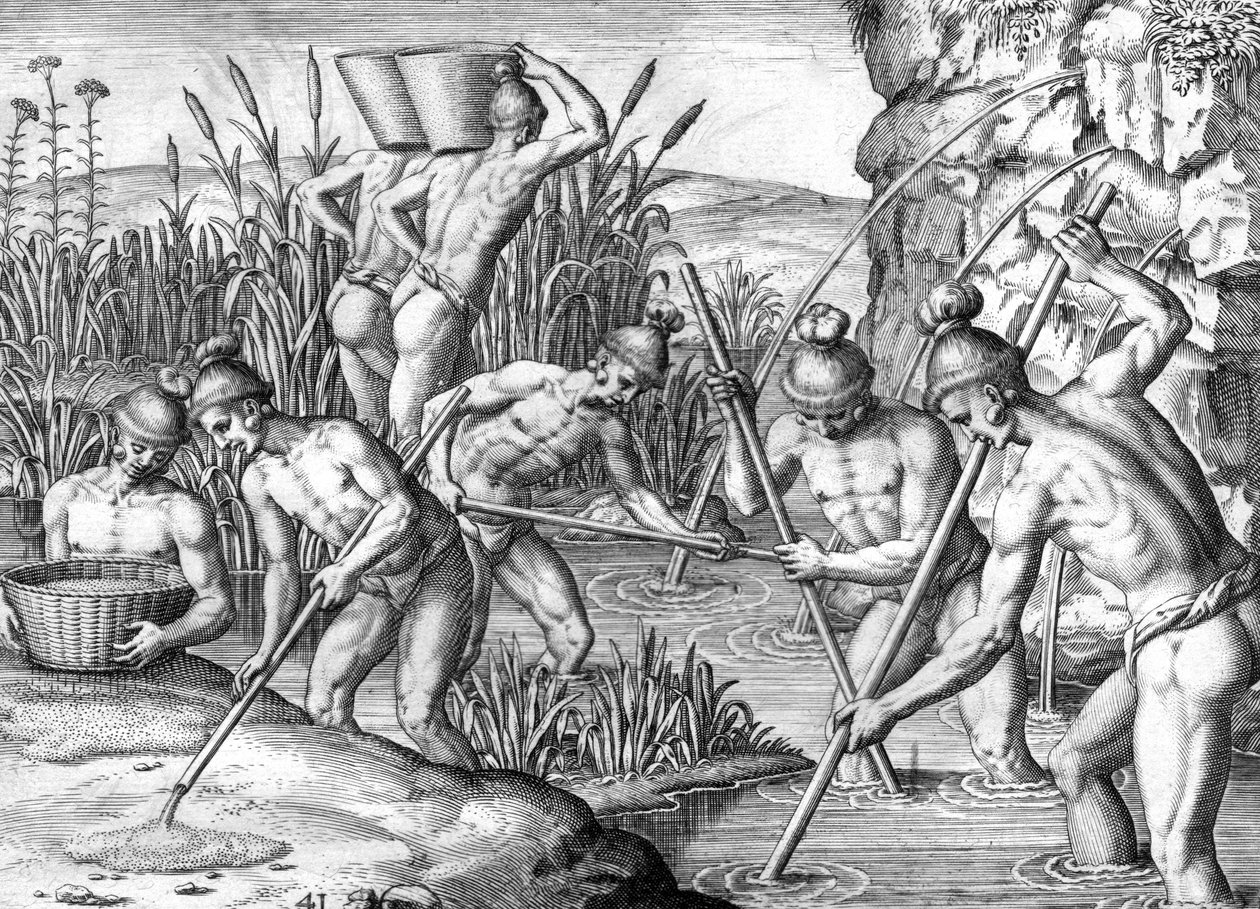 Timucua indián aranyat gyűjt alkotó: Theodor de Bry