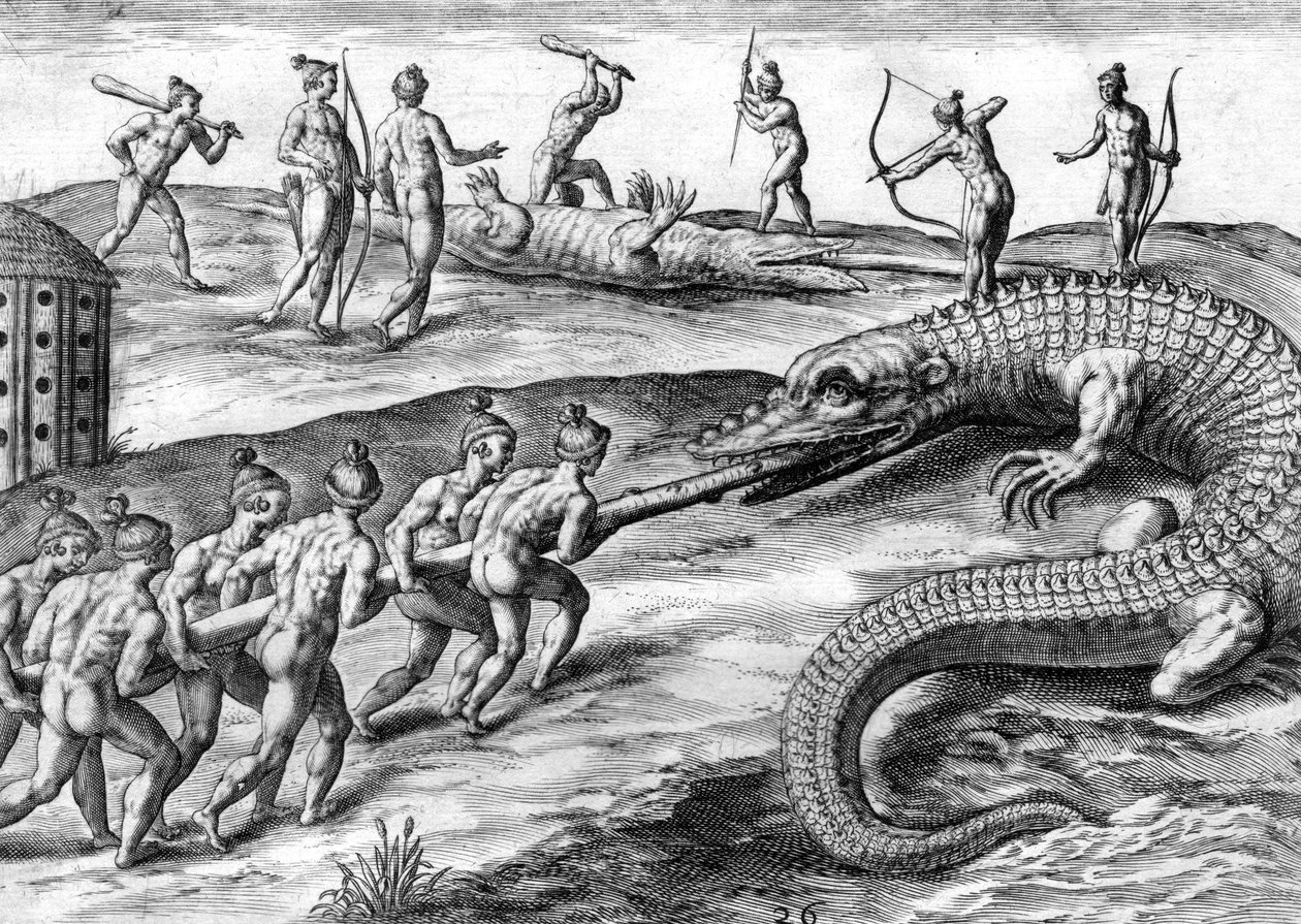 Timucuan indiánok alligátorra vadásznak alkotó: Theodor de Bry