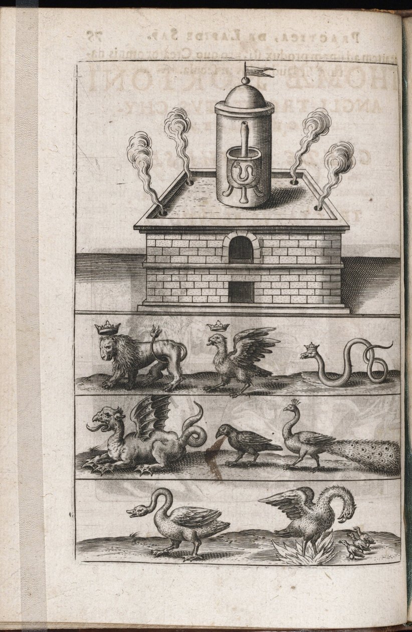 Egy alkímia kemence és az alkímia szimbolikus állatai – Theodore de Bry (1528-1598) metszete Michael Maier (1569-1622) "Tripus avreus, hoc est, Tres tractatus chymici selectissimi" című alkímiai értekezéséhez alkotó: Theodor de Bry