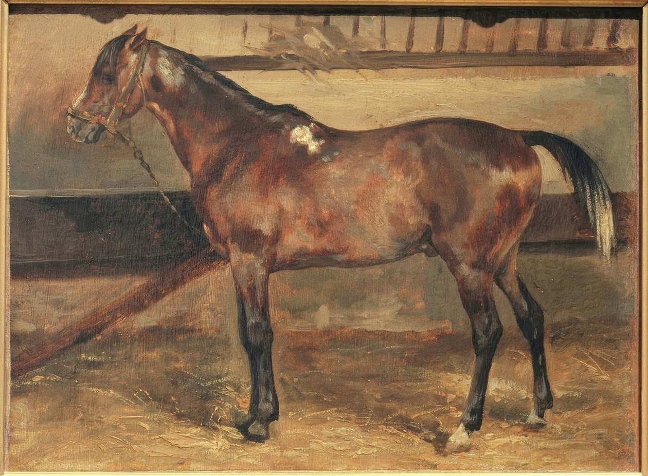 Barna ló az istállóban alkotó: Theodore Gericault