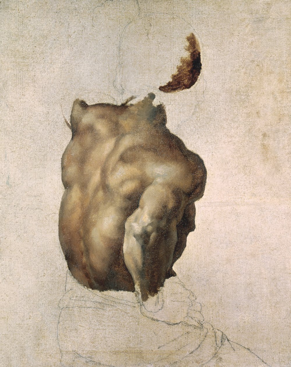 Tanulmány egy torzóról a Medúza tutajhoz, 1818 alkotó: Theodore Gericault