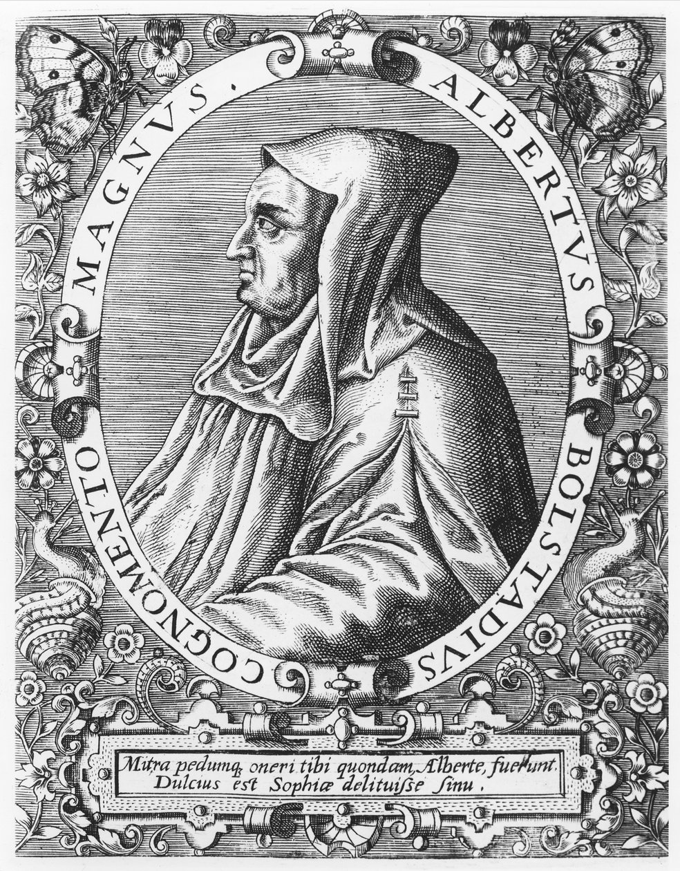Albertus Magnus alkotó: Theodore de Bry
