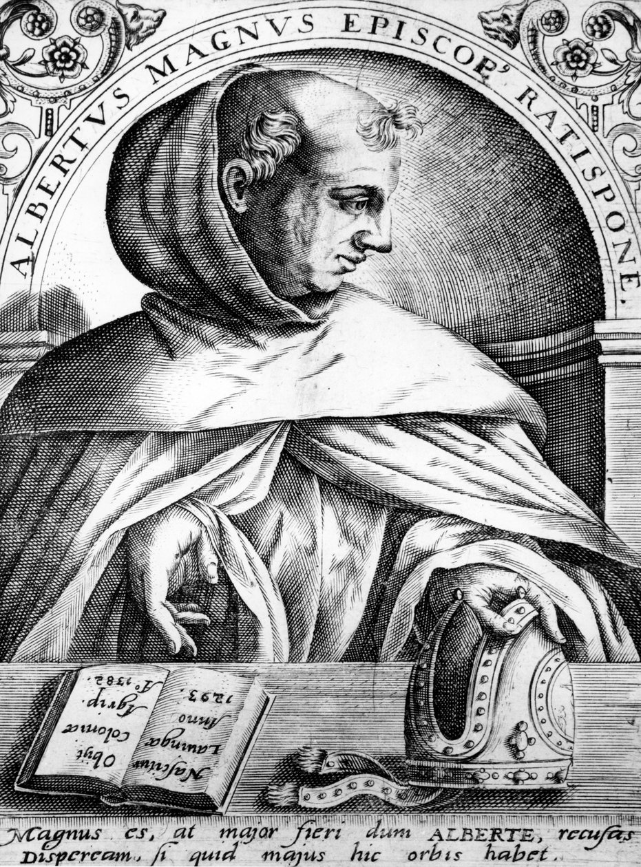 Albertus Magnus, illusztráció Jean Jacque Boissard „Kiemelkedő tudású és mélyen tanult férfiak képei élénk és élénk képekben” című művéből, 1669. alkotó: Theodore de Bry