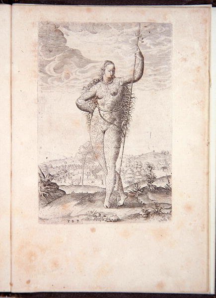 A piktek lánya, a Johann Wechel által 1600-ban kinyomtatott rövid és igaz jelentés Virginia új földjéről, a Grand Voyages-ről alkotó: Theodore de Bry